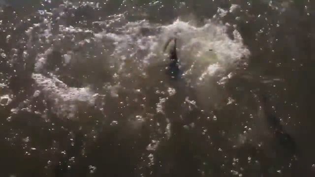 Зарыбление РК «Фишка» Петряиха смотреть онлайн