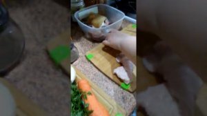 Старинный болгарский рецепт приготовления фаршированного перца ,голубцов в духовке .