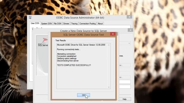 Importing data from SQL Server to R Studio via ODBC смотреть онлайн