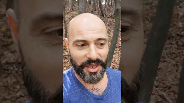 "Събуди се с песен" Гриша Георгиев смотреть онлайн