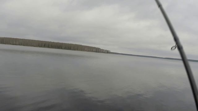 Ловля на фидер на набережной. Десногорское водохранилище. 2016 смотреть онлайн