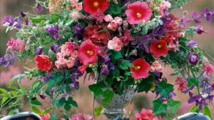 Поль мариа мама