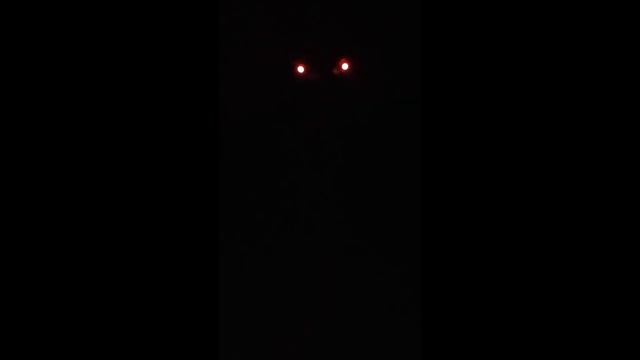 Costume test смотреть онлайн