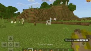 Как оседлать ламу и надеть на неё сундук в Майнкрафте