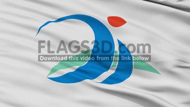 Closeup Miyakojima City Flag, Prefecture Okinawa, Japan