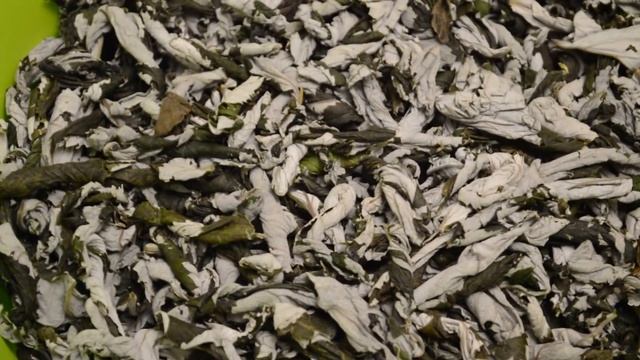 ФЕРМЕНТАЦИЯ малинового листа от А до Я. Как правильно ферментировать листья малины для чая смотреть онлайн