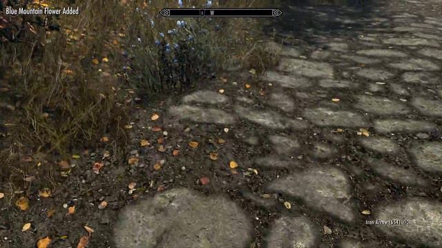 The Elder Scrolls V Skyrim Special Edition pt 1 Mihail style смотреть онлайн