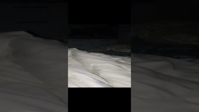 VID_20231111_190042.mp4