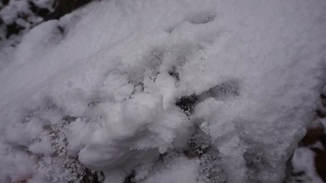 Круг по Крыму из Симеиза в Алушту / Старый Новый и год выпал снег / Новый шампунь Vlog_603 смотреть онлайн