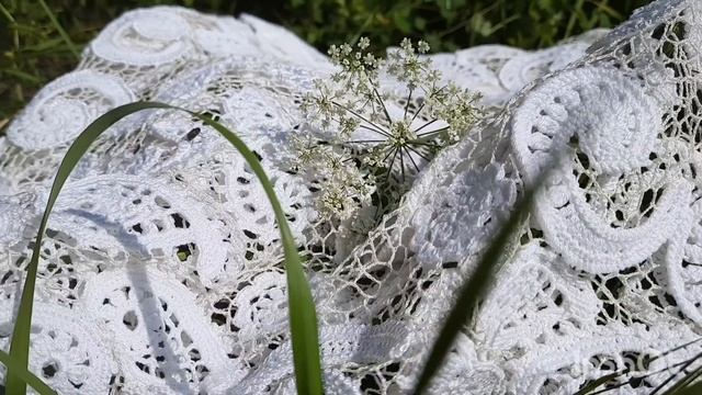 Короткий Видеообзор кружева. В продаже! смотреть онлайн