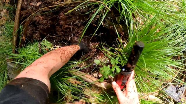 The Germans dumped THIS in the Swamp at Wars End?! смотреть онлайн