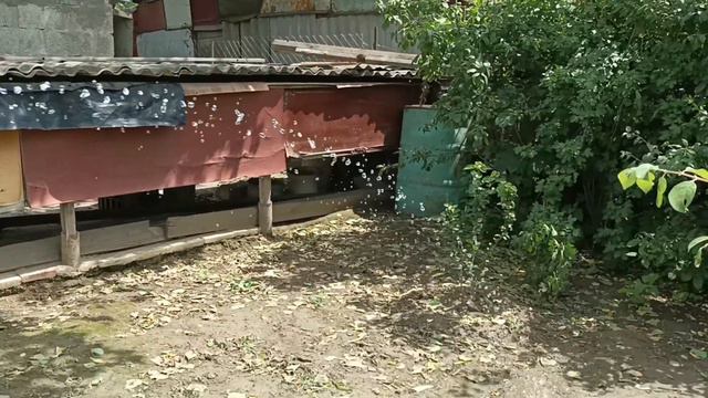 Создание ВЫСОКОГО ДАВЛЕНИЯ ВОДЫ в ДОМАШНИХ УСЛОВИЯХ! *лучший эксперимент* смотреть онлайн
