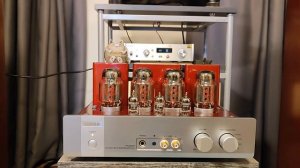 Triode TRV-88SER продан