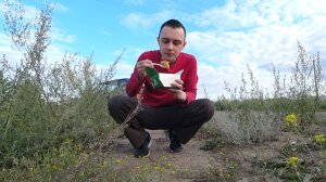 DIMAVIPER ПРОБУЕТ WOK СВИНИНА В КИСЛО-СЛАДКОМ СОУСЕ!