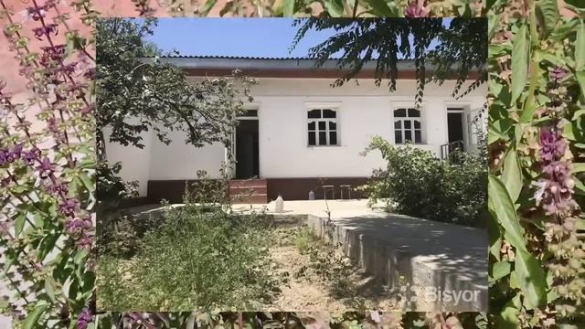 Қайнота Келини Билан Молхонада  Эри Россия Кетганида Бўлган Воқеа