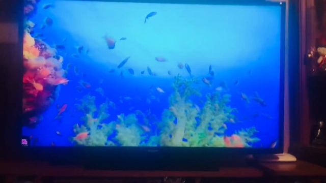 5 мин.до здорового сна ! Успокоение ума!?? смотреть онлайн