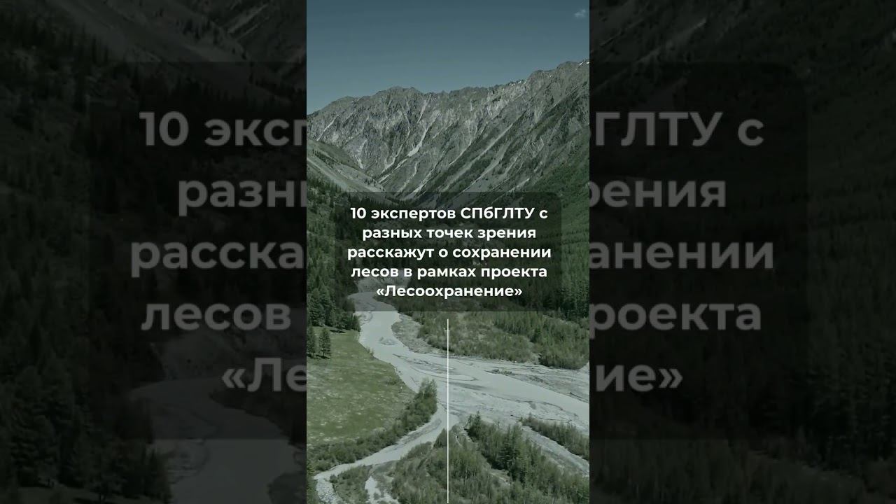 Новый проект от СПбГЛТУ! смотреть онлайн