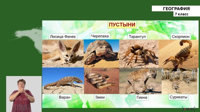 7-класс | География | Природный комплекс. Природная зона. смотреть онлайн