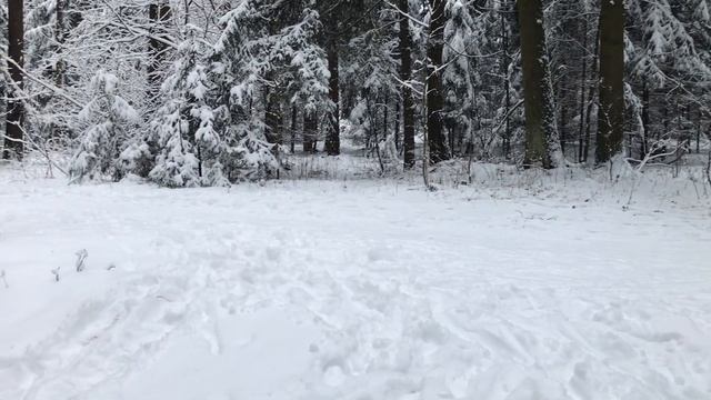 ВСЁ ДЕЛО В ПОРЯДОЧНОСТИ, И МОРАЛЬНЫХ ПРИНЦИПАХ ЖЕНЩИНЫ. Поучительные жизненные истории и рассказы. смотреть онлайн