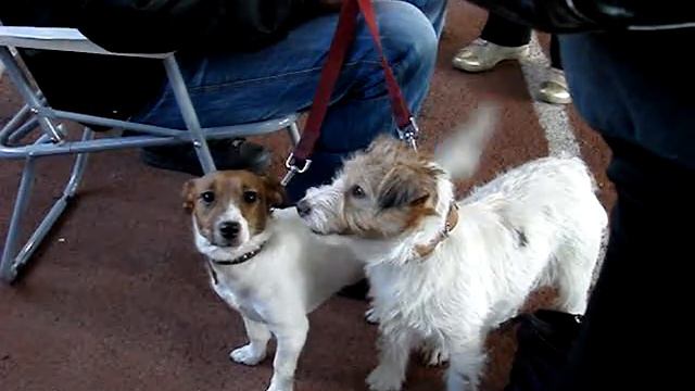 Ленка и Салли. Екатеринбург 21_02_10 смотреть онлайн