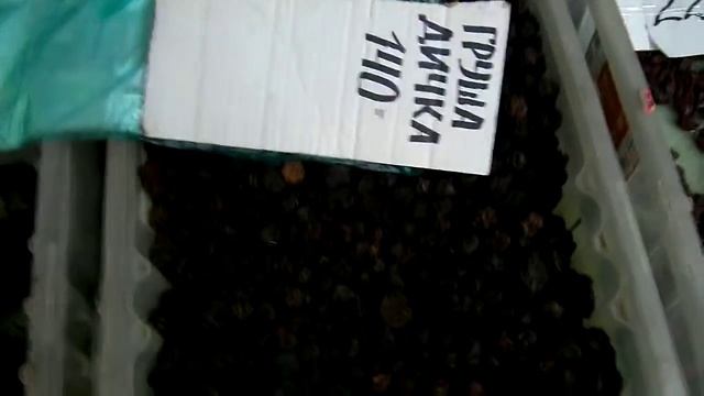 Советы по Уходу за Здоровьем