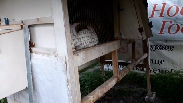 Обзор Клетки для Кроликов. Самые удобные клетки для кроликов. Секретная чистота клетки смотреть онлайн