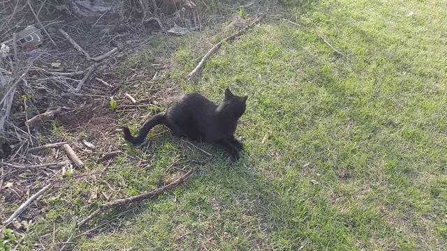 Lexi Lou We Love You~ смотреть онлайн