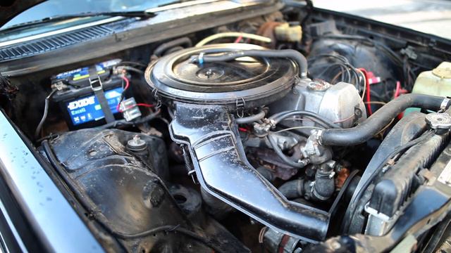1976 Mercedes Benz 250 Automatic For Sale I W123 смотреть онлайн