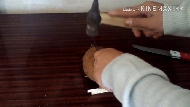 ЧТО ВНУТРИ КОКОСА?????? ?????ОТКРЫВАЕМ КОКОС!!!! смотреть онлайн