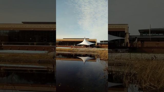 Блеск и нищета Соснового бора. Новосибирск #сибирь #новосибирск #нищета #сосновыйбор смотреть онлайн