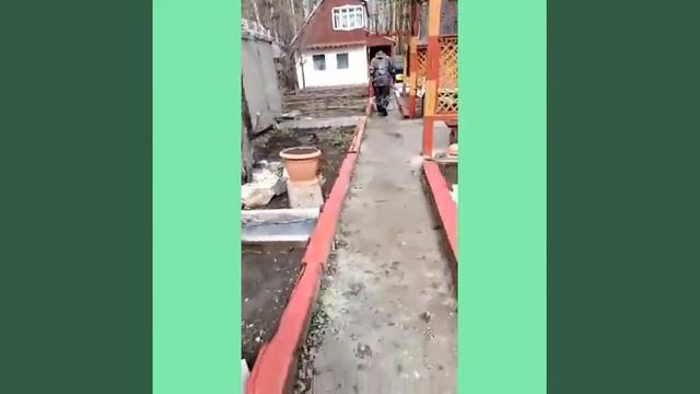 Я в больнице лежу, а друзья навели порядок в своем саду😊.Пьют берёзовый сок. смотреть онлайн