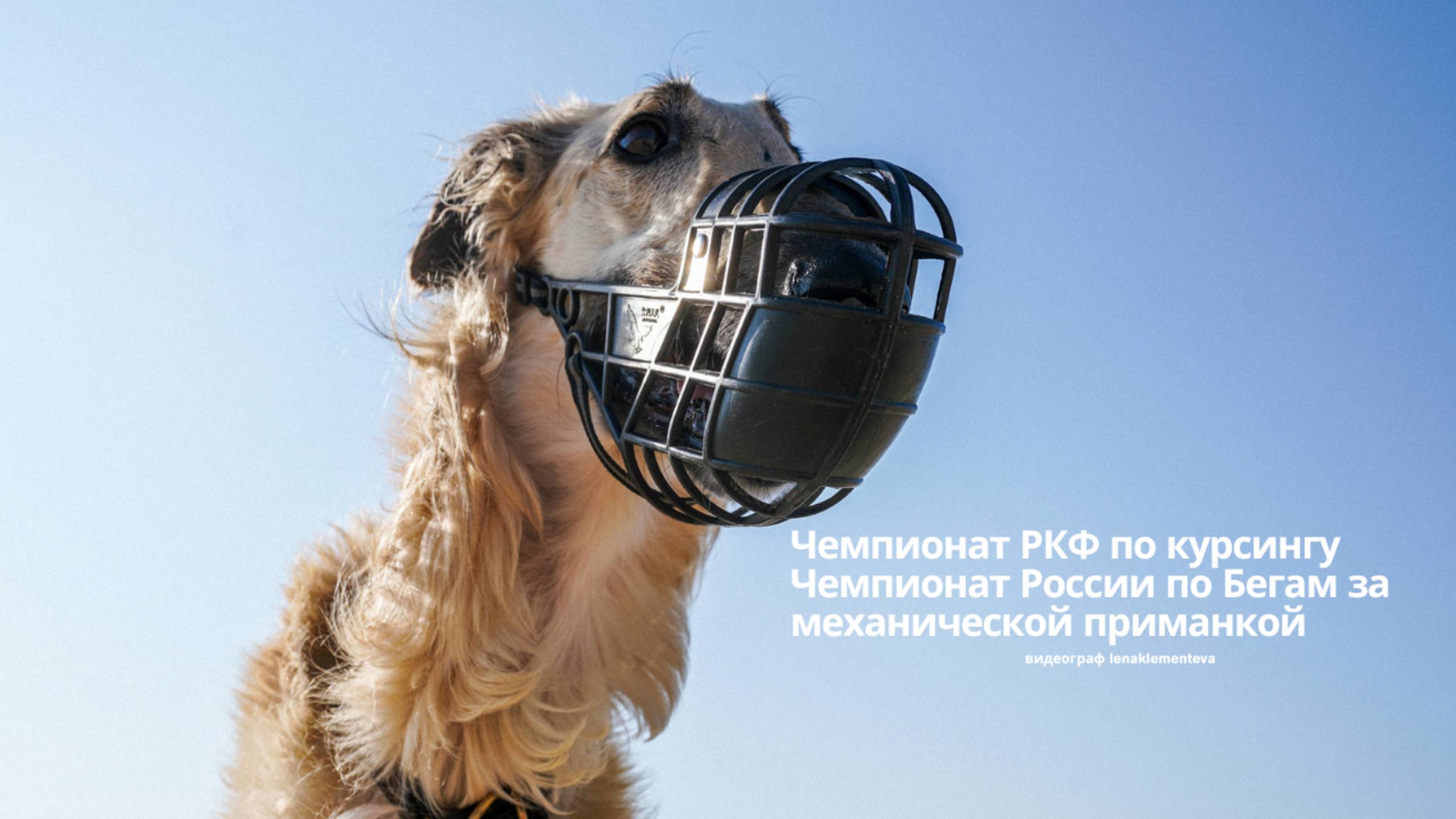 Курсинг, г. Казань, июнь 2023 г смотреть онлайн