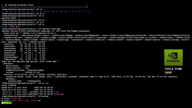 #zikutech New GPU Server - Nvidia Tesla P 100 16GB (Decoding & Encoding Progress) смотреть онлайн