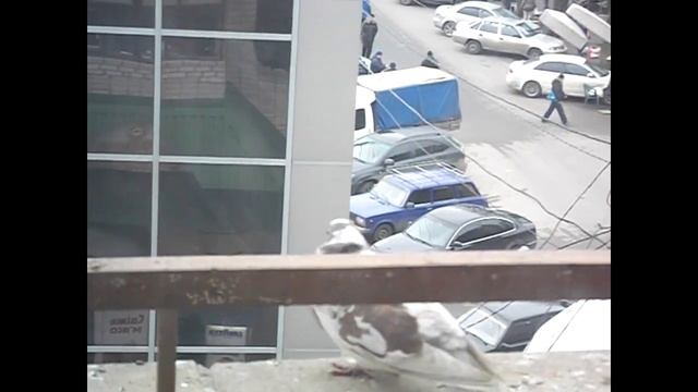 Valentine's Day Gift For Him! Valentine Special! Что подарить парню на 14 февраля?