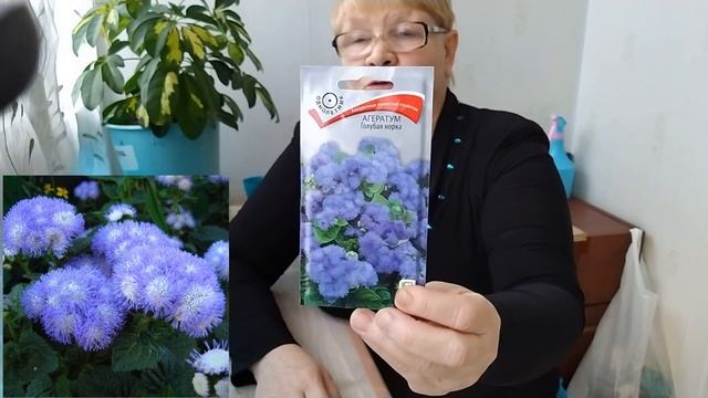 #Обзор#семян,#мои#покупки. смотреть онлайн