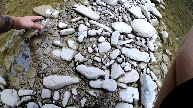 Мой первый Smith. Ловля голавля на воблеры и блесны по низкой воде смотреть онлайн