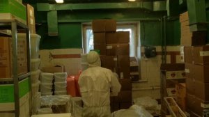 Пищевая моль как с ней бороться? Как избавиться от пищевой моли? Обработка Холодным туманом
