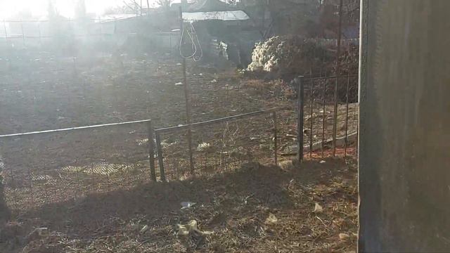 Навес готов! смотреть онлайн