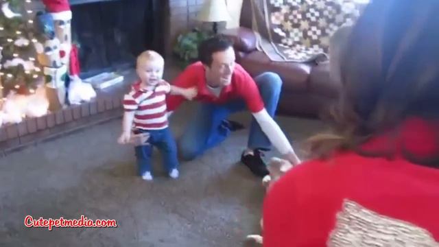 Christmas PUPPY SURPRISE [Funny Pets] смотреть онлайн
