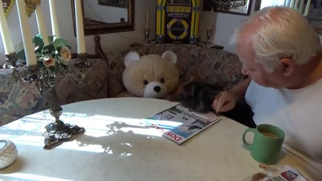 Доступное жильё! 🐾❤️ смотреть онлайн