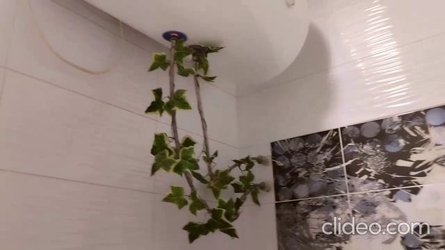 перед завтраком 05.07 смотреть онлайн