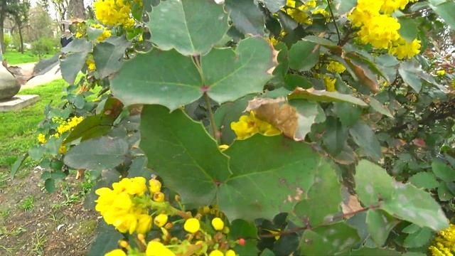 Наша теплая, красивая Анапа. Мечты сбываются.