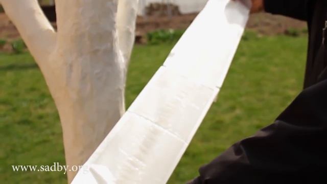 Вредители в саду и ловчий клеевой пояс. Уход за плодовыми деревьями весной. © смотреть онлайн