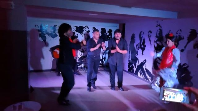 фламенко смотреть онлайн