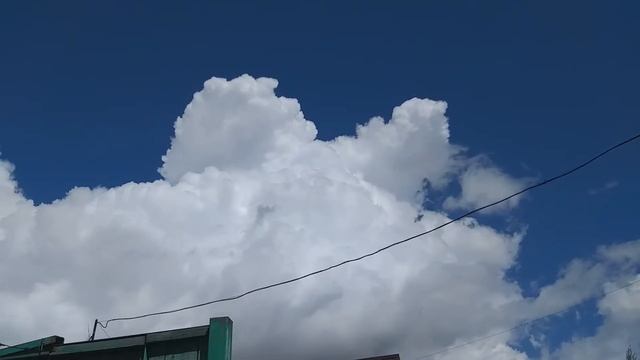 Конвекция в конце мая 2021 смотреть онлайн