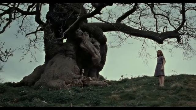 Can Potterheads forgive Petunia Dursley? смотреть онлайн