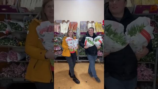 Тюльпаны оптом смотреть онлайн