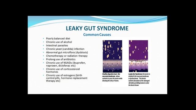 Webinar: I'm Gluten Free, Why Don't I Feel Better? смотреть онлайн