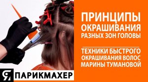 Принципы окрашивания разных зон головы. Техники быстрого окрашивания волос от Марины Тумановой.