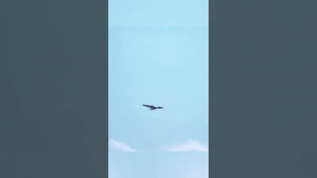 Притча / Орёл и ворона / Со смыслом / Short смотреть онлайн